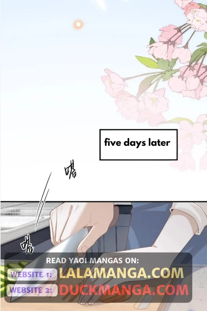 Read See You Never chapter 87 image 38 on Lezhin