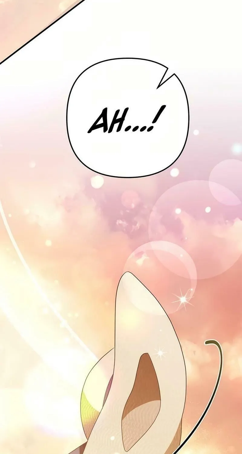 Read Seeking for Your Forgiveness chapter 15 image 68 on Lezhin