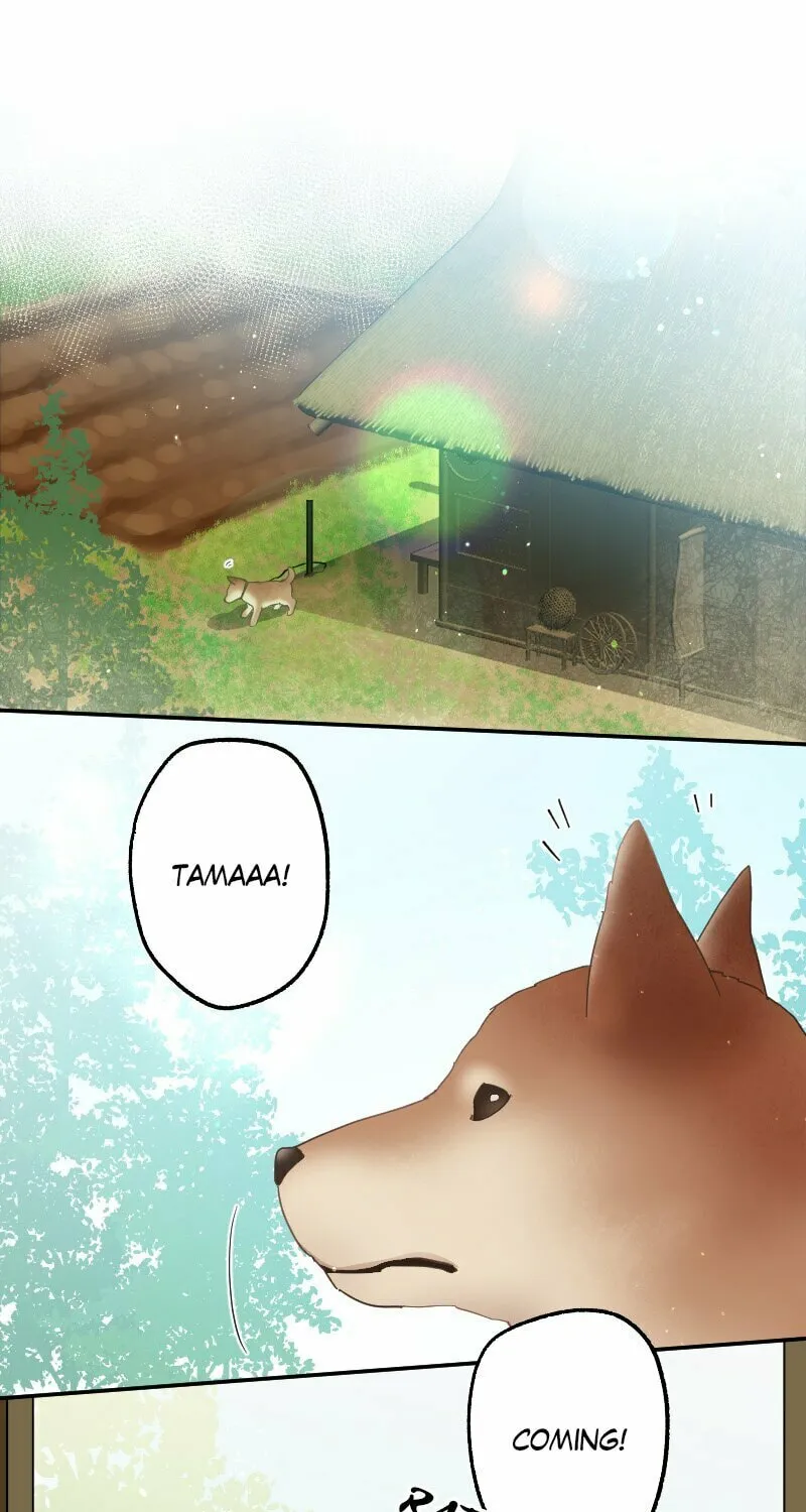 Seikei Bijin no Youkihi Tensei Chapter 110 page 61 - 