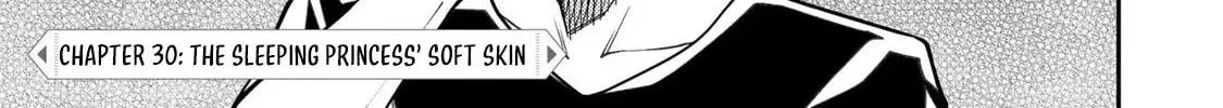 Seinaru Otome to Himegoto wo Chapter 30 page 3 - 
