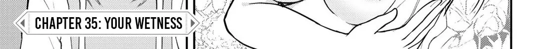 Seinaru Otome to Himegoto wo Chapter 35 page 3 - 