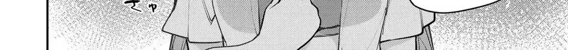 Seinaru Otome to Himegoto wo Chapter 46 page 33 - 