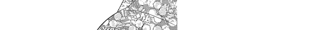 Read Seirou Opera chapter 16 image 29 on Lezhin