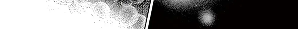 Read Seirou Opera chapter 18 image 16 on Lezhin