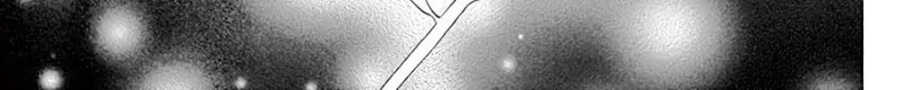 Read Seirou Opera chapter 37 image 12 on Lezhin