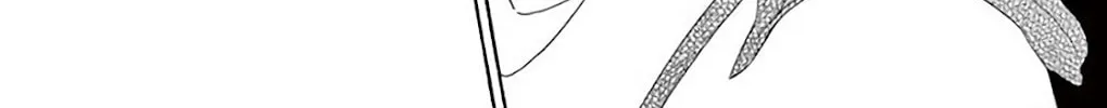 Read Seirou Opera chapter 38 image 11 on Lezhin