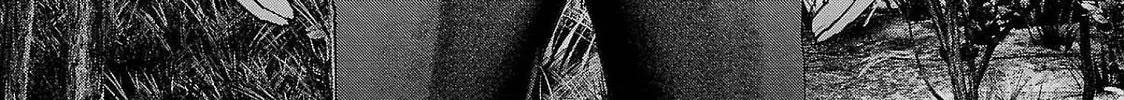 Read Seishokuki chapter 137 image 1 on Lezhin