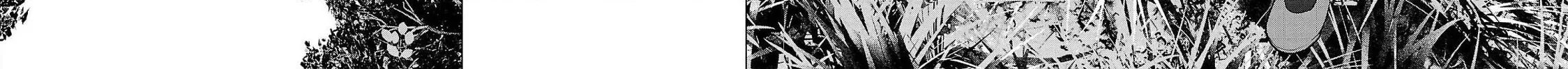 Read Seishokuki chapter 137 image 27 on Lezhin