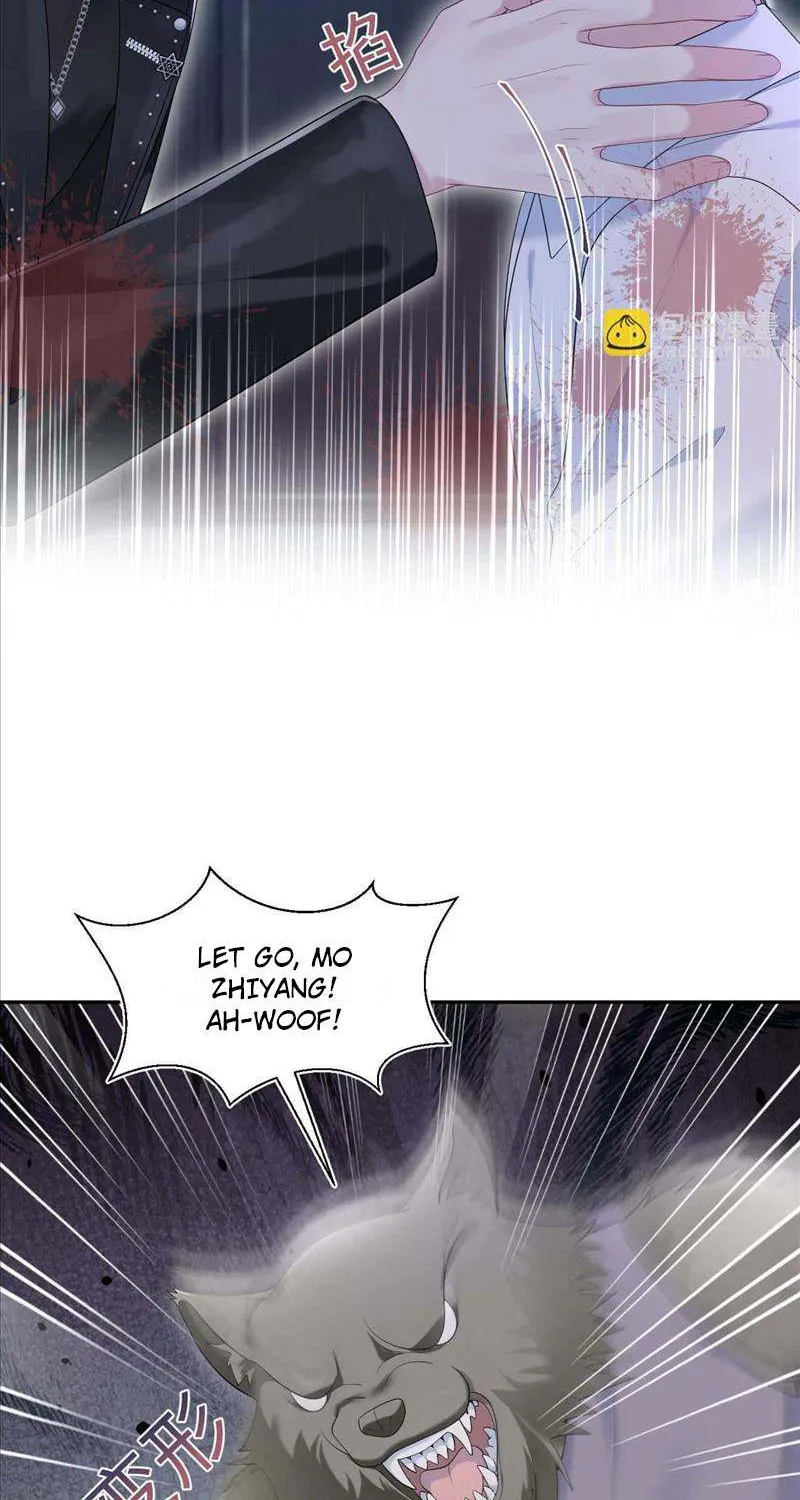 Read Seize My Boyfriend chapter 208 image 16 on Lezhin