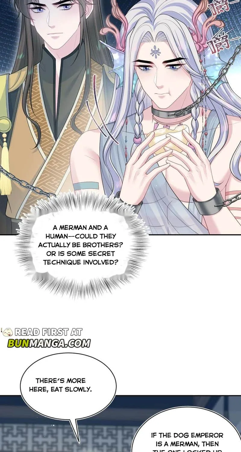 Read Seize My Boyfriend chapter 380 image 4 on Lezhin