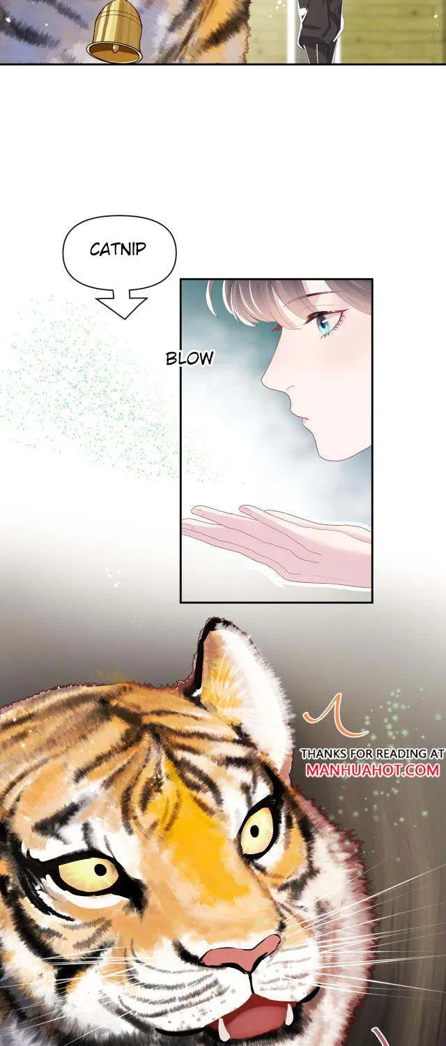 Read Seize My Boyfriend chapter 39 image 26 on Lezhin