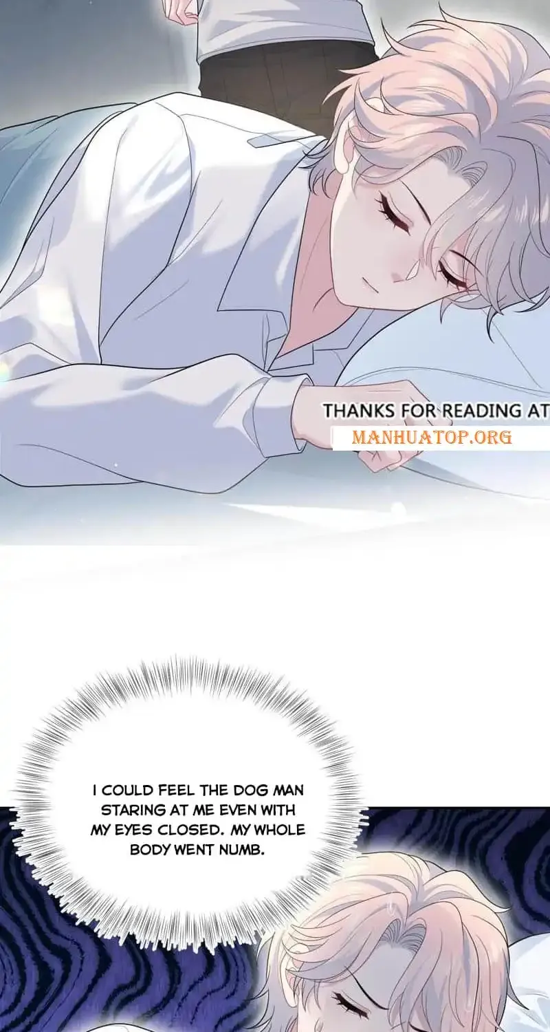 Read Seize My Boyfriend chapter 404 image 1 on Lezhin