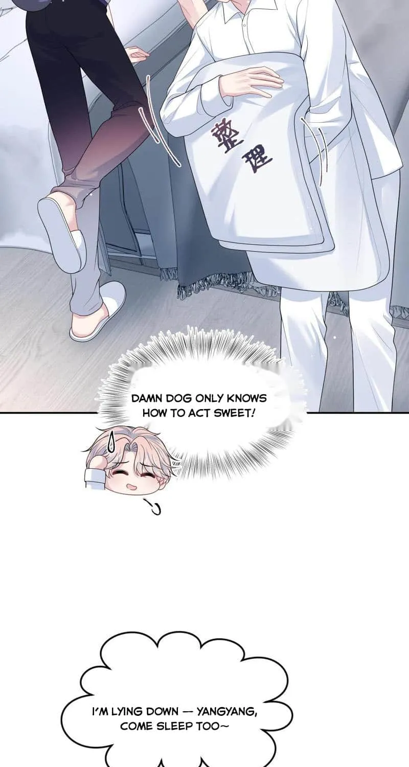 Read Seize My Boyfriend chapter 414 image 25 on Lezhin