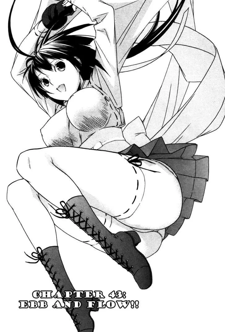 Read Sekirei chapter 43 image 0 on Lezhin