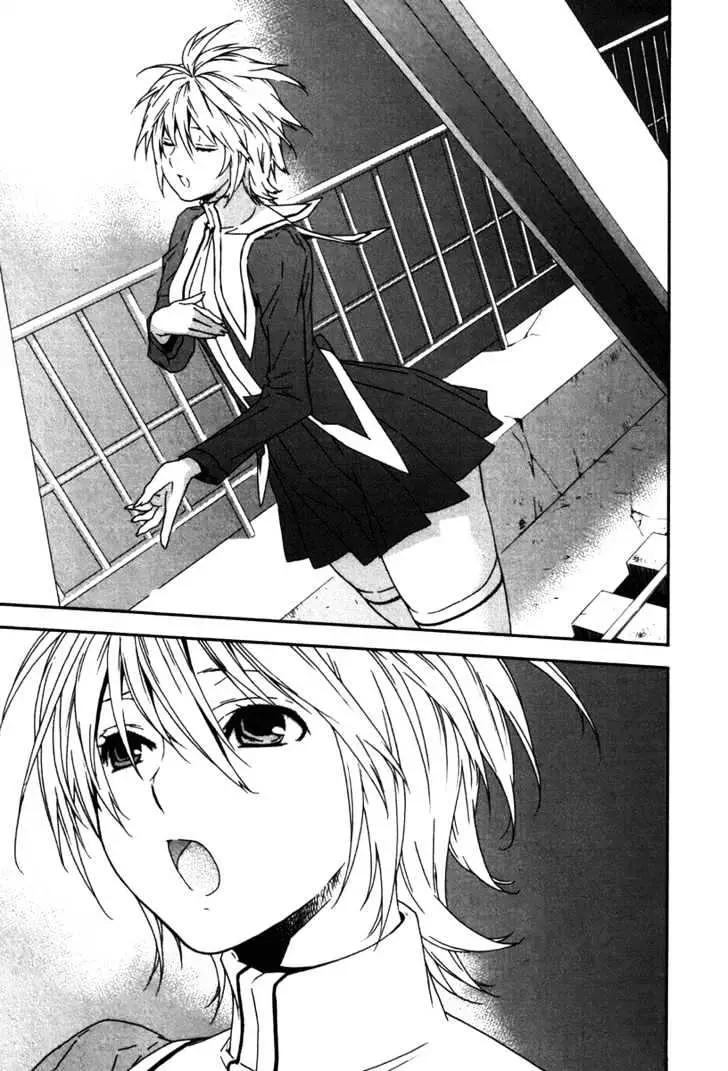 Read Sekirei chapter 44 image 19 on Lezhin
