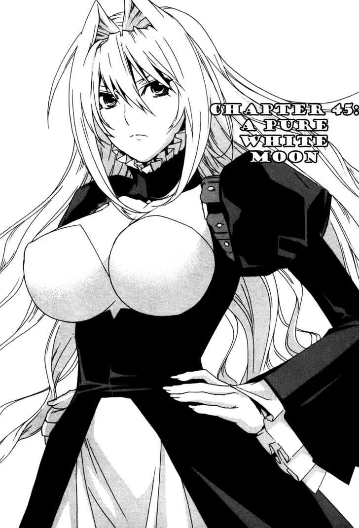Read Sekirei chapter 45 image 0 on Lezhin