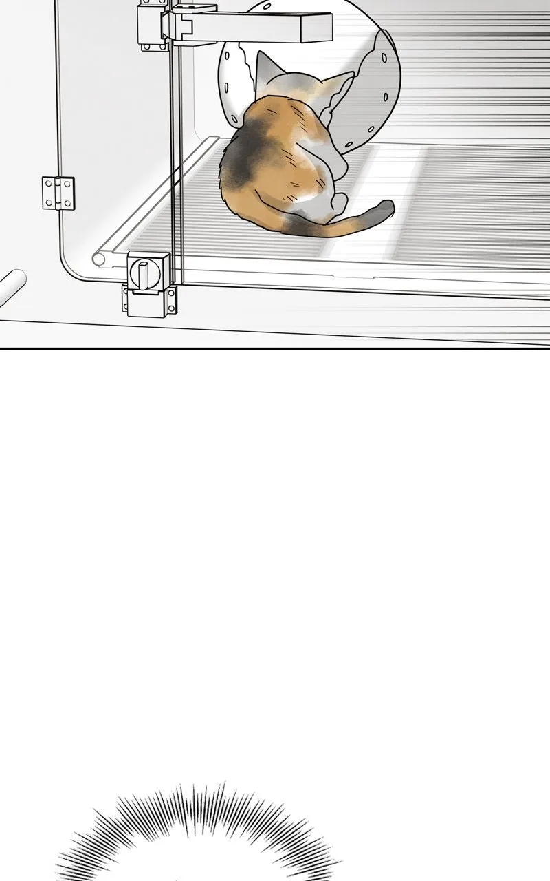 Read Selfish Romance chapter 19 image 77 on Lezhin