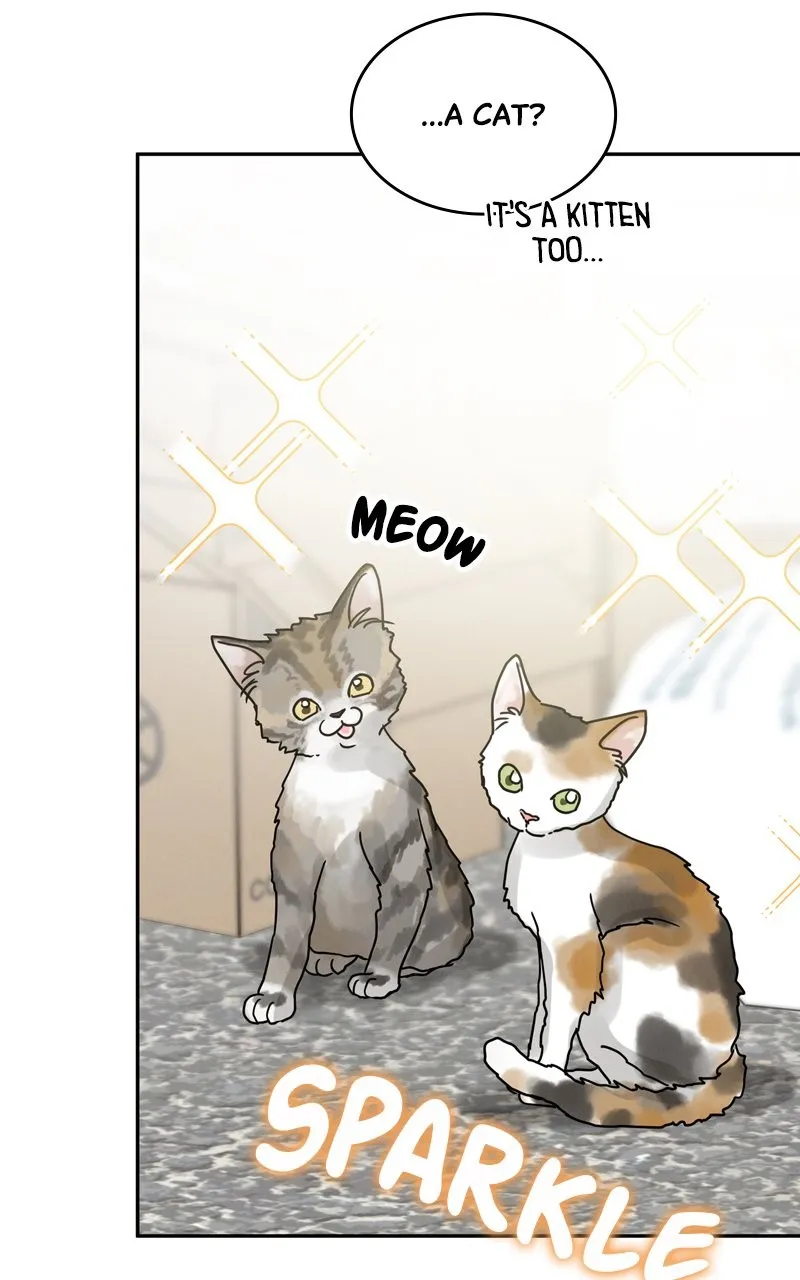 Read Selfish Romance chapter 3 image 37 on Lezhin