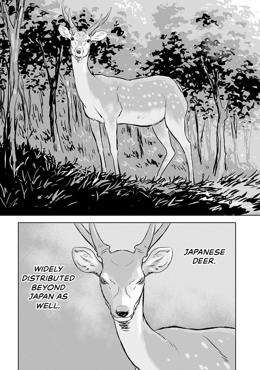 Sengoku Komachi Kuroutan Chapter 0 page 72 - 