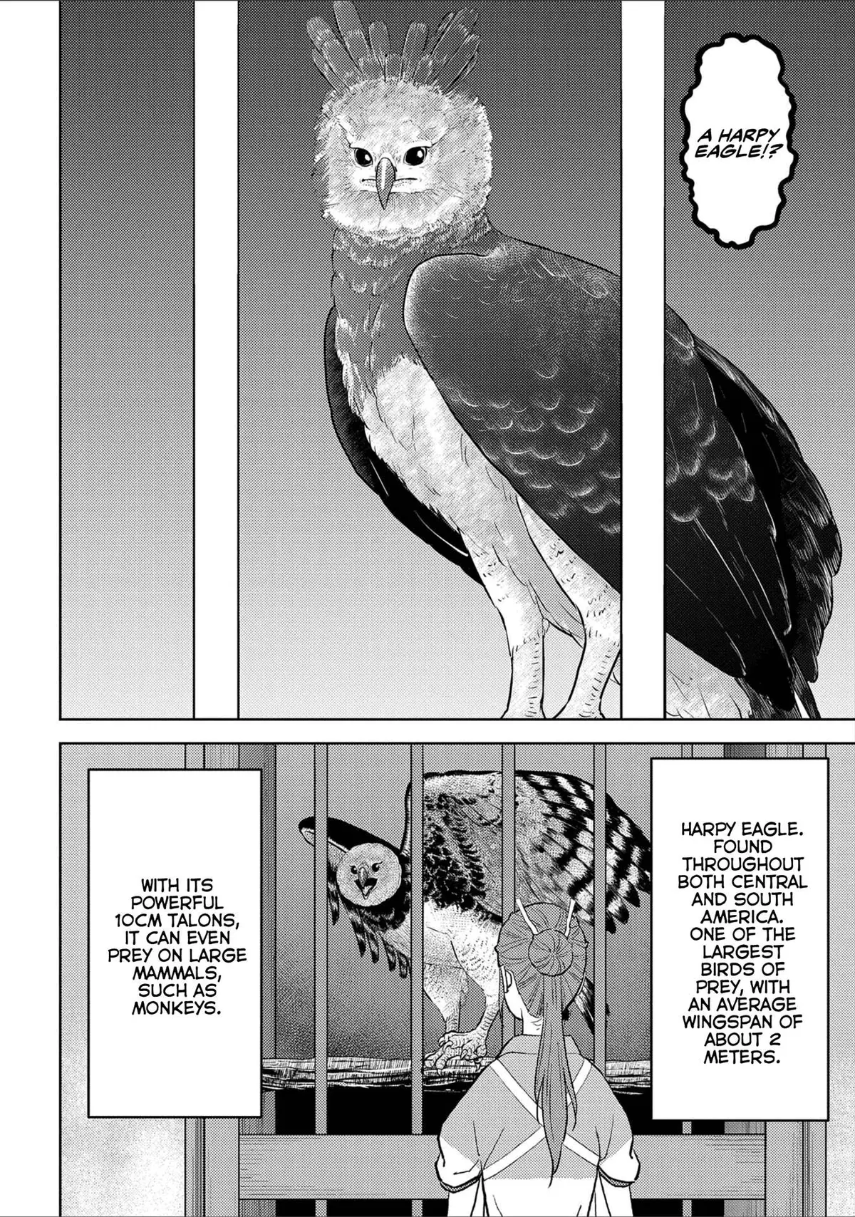 Sengoku Komachi Kuroutan Chapter 37.99 page 23 - 