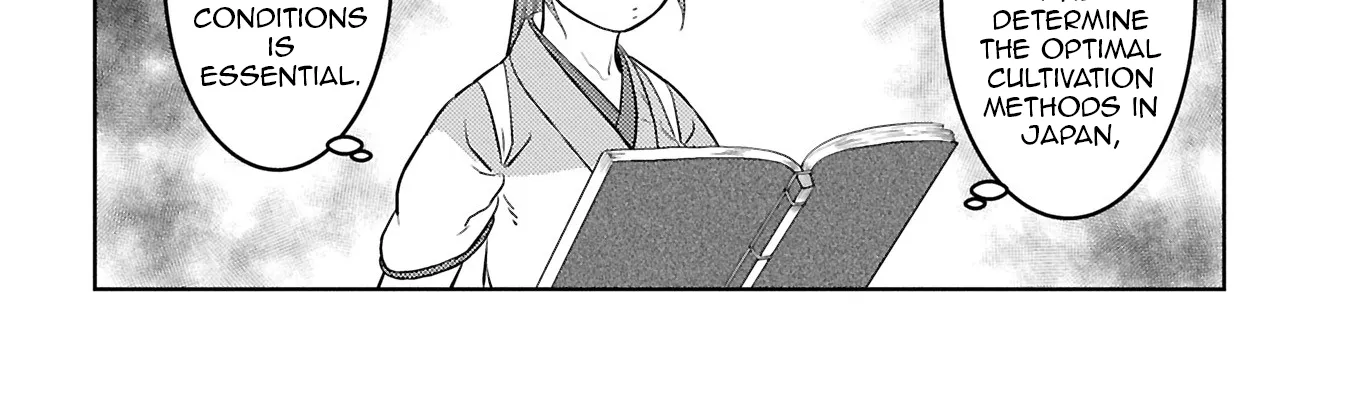 Sengoku Komachi Kuroutan Chapter 94 page 29 - 