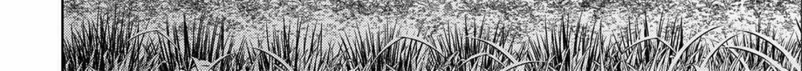 Read Sengoku chapter 35 image 12 on Lezhin