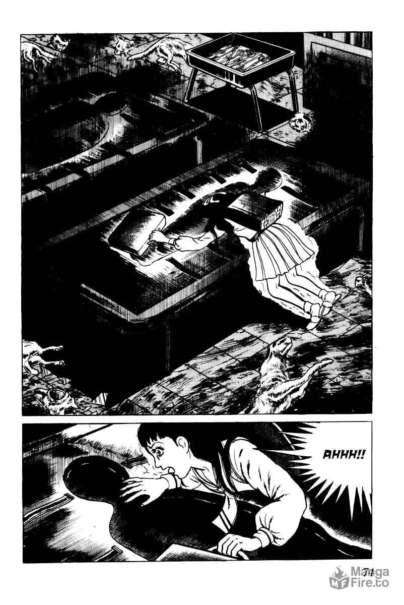 Senrei Chapter 2 page 35 - 