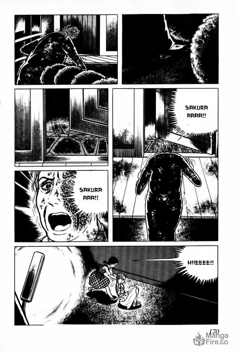 Senrei Chapter 8 page 171 - 