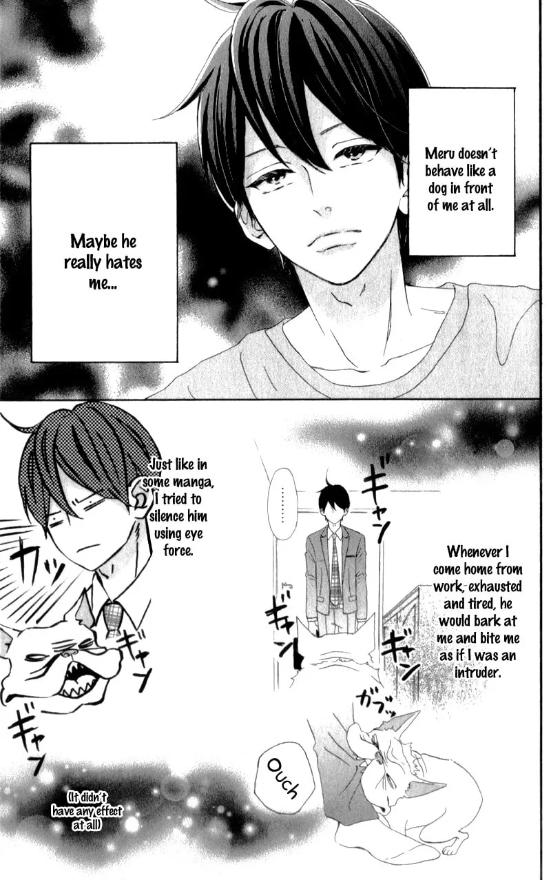 Read Sensei Kunshu chapter 8.5 image 6 on Lezhin