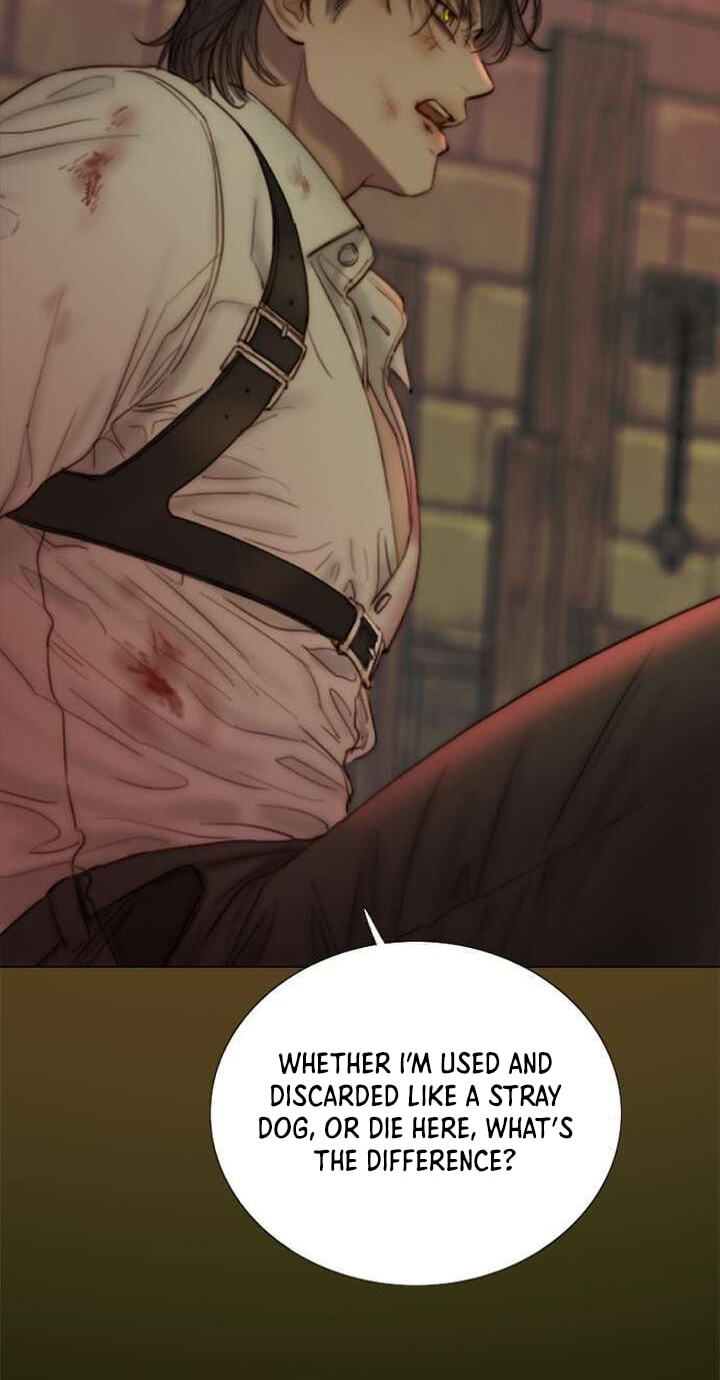 Serena Chapter 131 page 12 - 