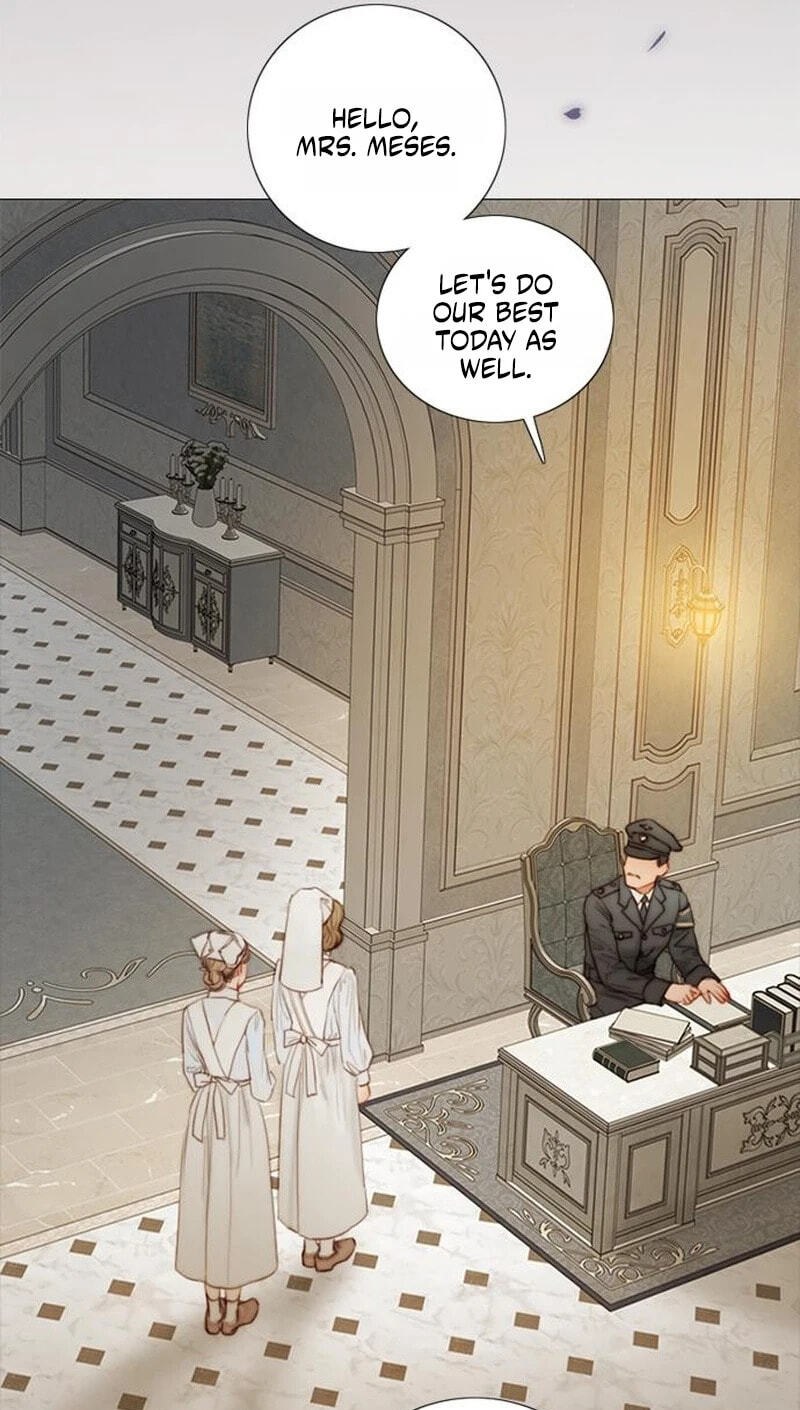 Read Serena chapter 132 image 43 on Lezhin