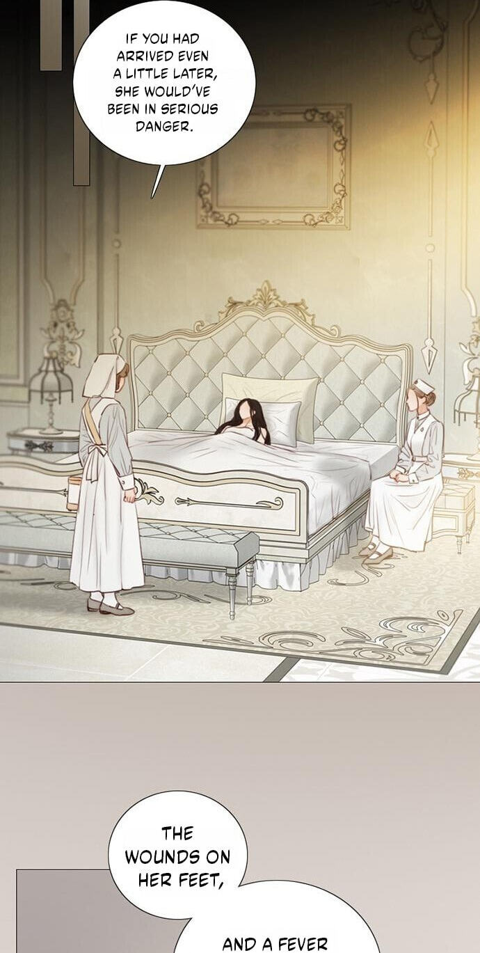 Read Serena chapter 133 image 11 on Lezhin