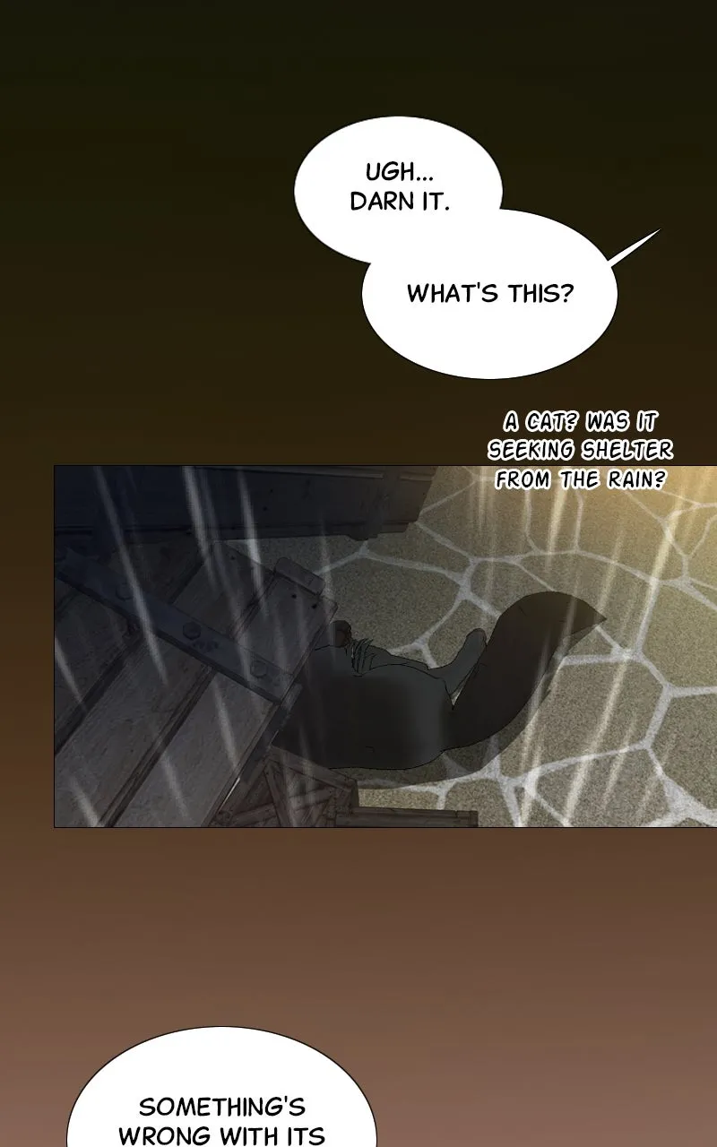 Read Serena chapter 41 image 11 on Lezhin