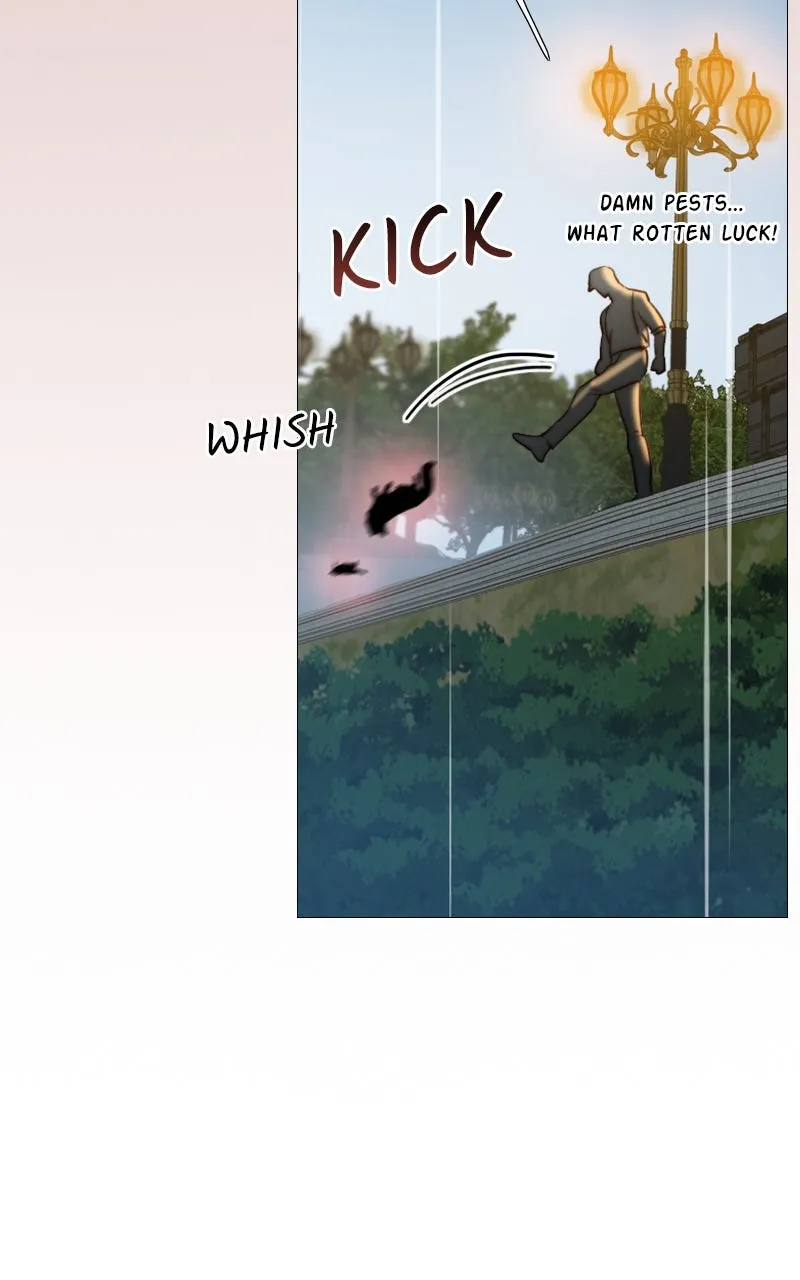 Read Serena chapter 41 image 13 on Lezhin