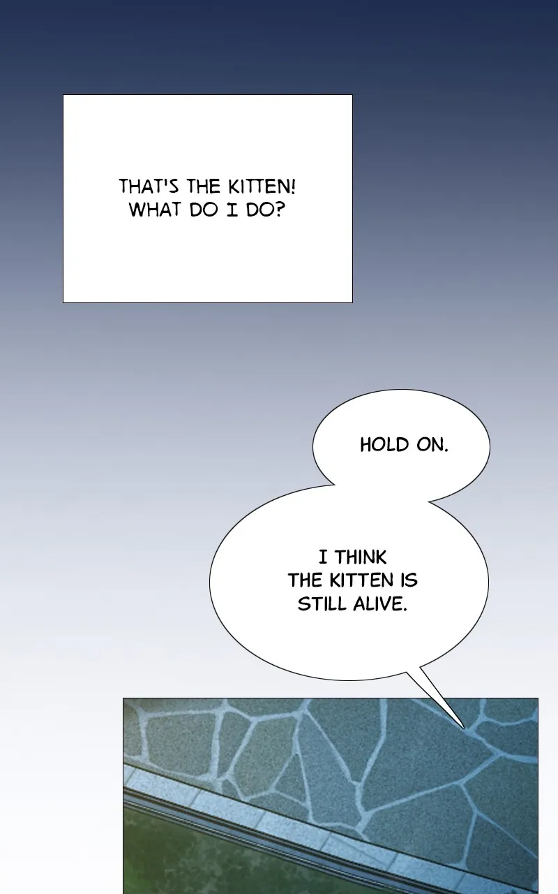 Read Serena chapter 41 image 81 on Lezhin