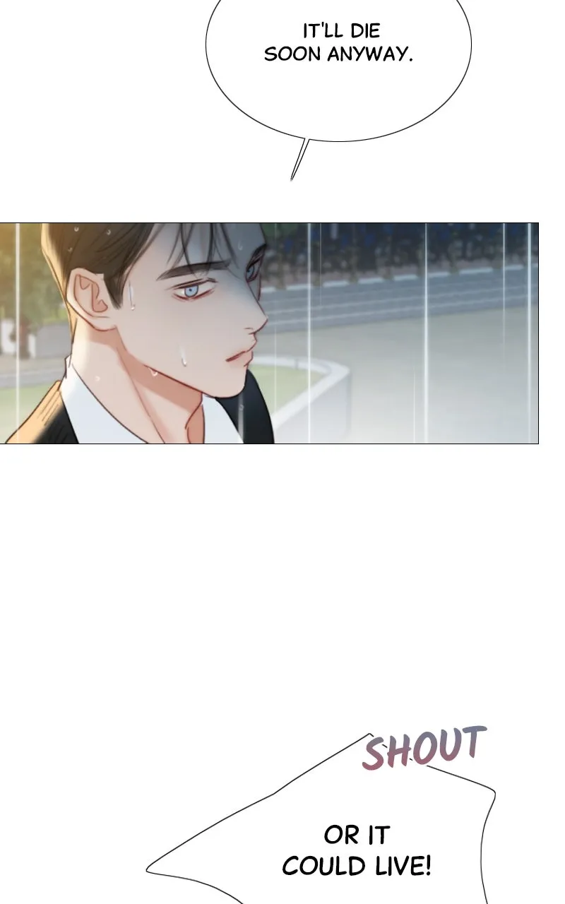 Read Serena chapter 41 image 83 on Lezhin