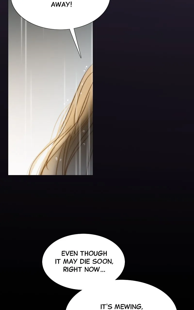 Read Serena chapter 41 image 86 on Lezhin