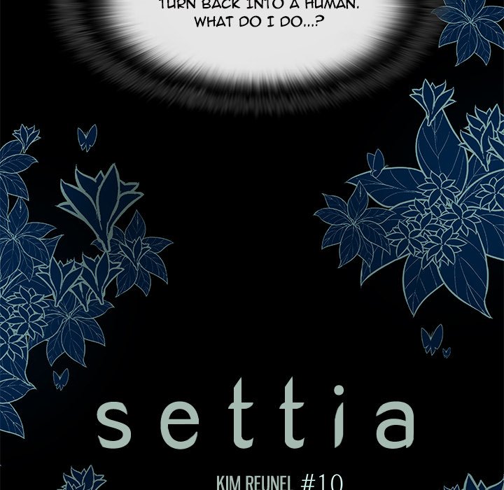 Read Settia chapter 10 image 5 on Lezhin
