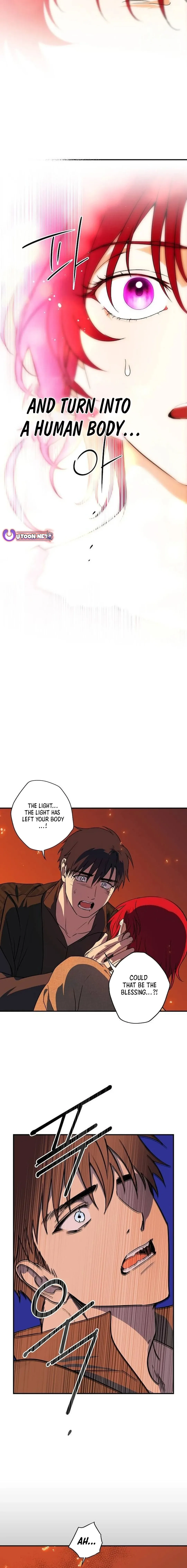 Read Setting Sun, Dazzled Eyes chapter 202 image 17 on Lezhin