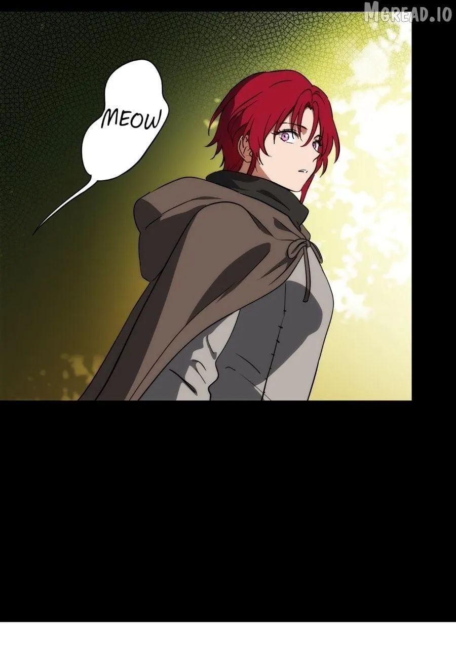 Read Setting Sun, Dazzled Eyes chapter 228 image 39 on Lezhin