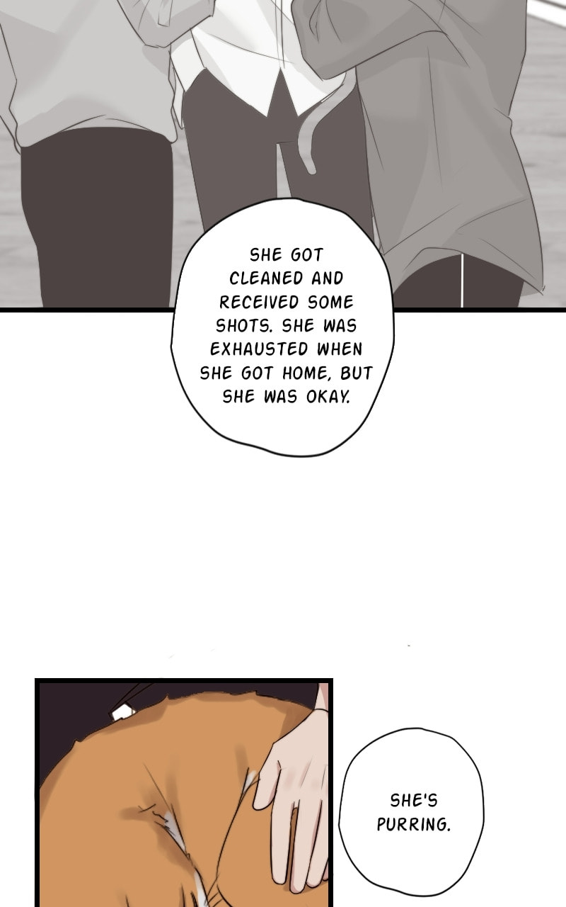 Seven Years Later Chapter 48 page 36 - 