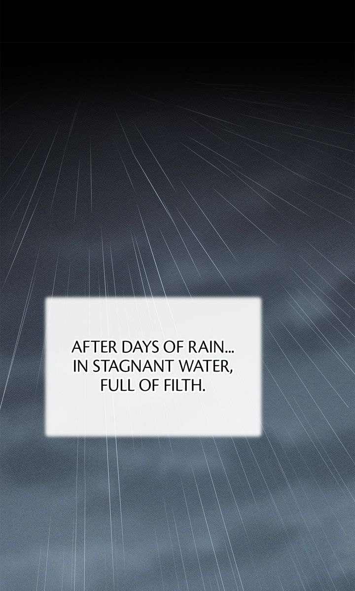 Read SF Fancy Free chapter 11 image 36 on Lezhin