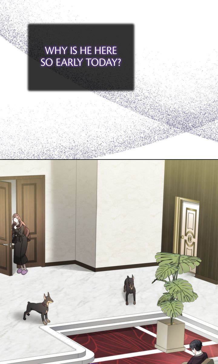 Read SF Fancy Free chapter 17 image 63 on Lezhin