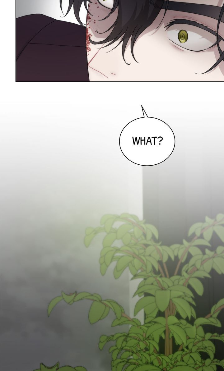 Read SF Fancy Free chapter 21 image 62 on Lezhin