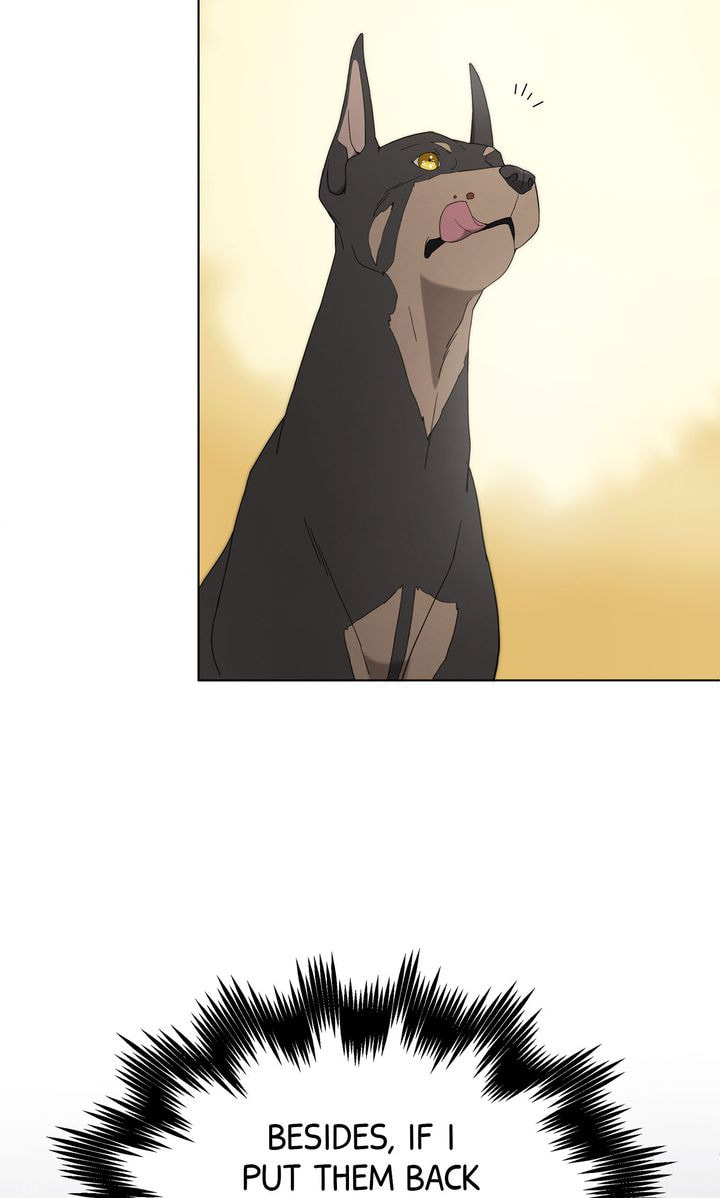 Read SF Fancy Free chapter 9 image 73 on Lezhin
