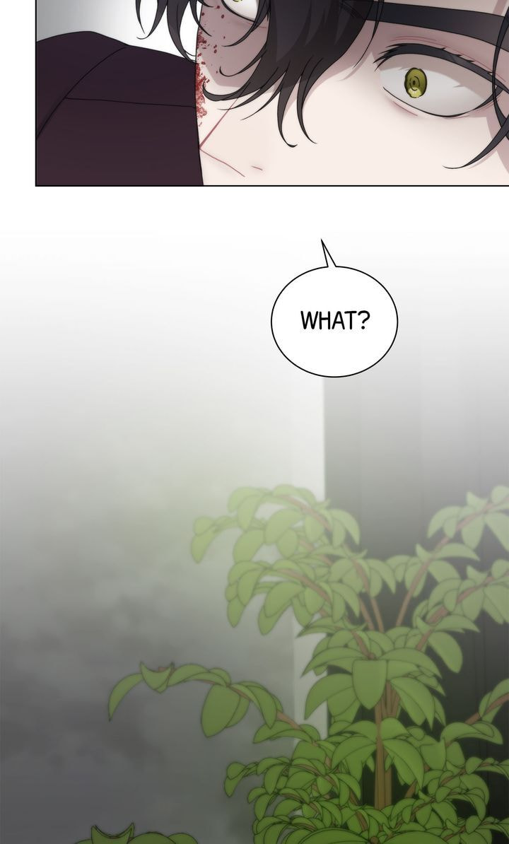 Read SF Fancy Free chapter 21 image 62 on Lezhin