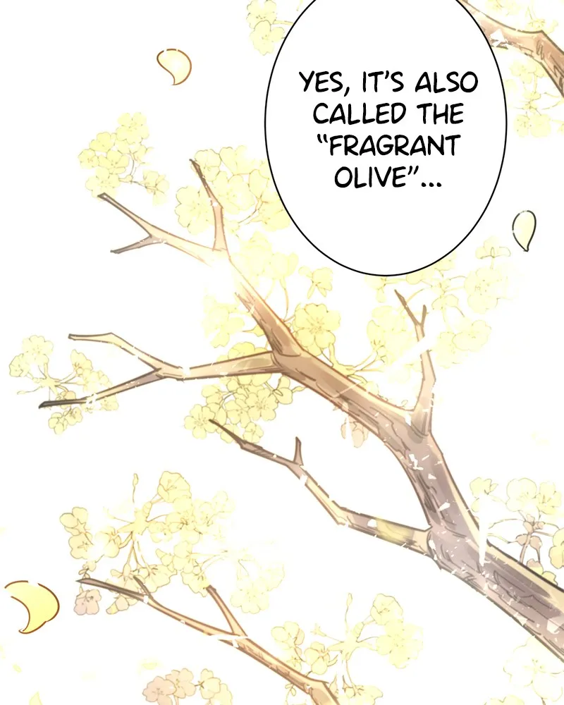 Read Shadow Bride chapter 4 image 108 on Lezhin