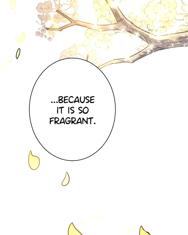 Read Shadow Bride chapter 4 image 109 on Lezhin