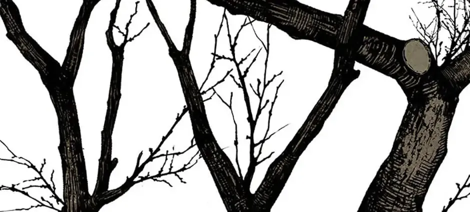 Read Shadow Garden chapter 16 image 15 on Lezhin