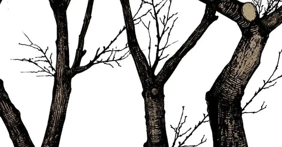 Read Shadow Garden chapter 16 image 153 on Lezhin